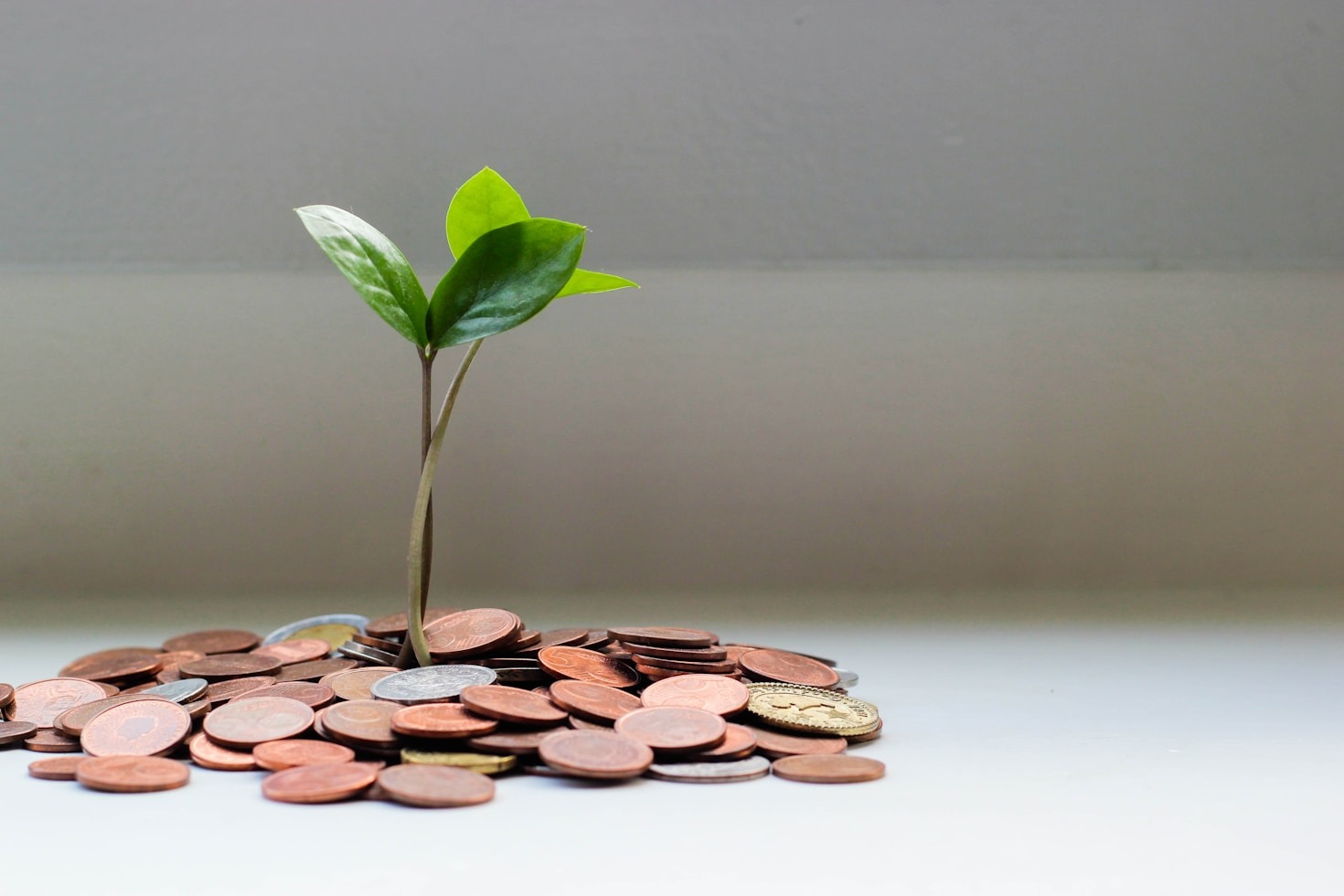 Exploring the Fast Cash Option for Property Owners